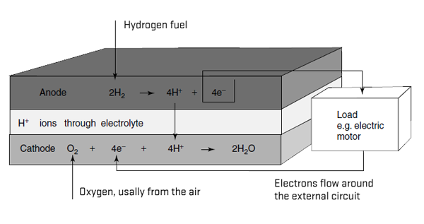 Drawing fuel cell